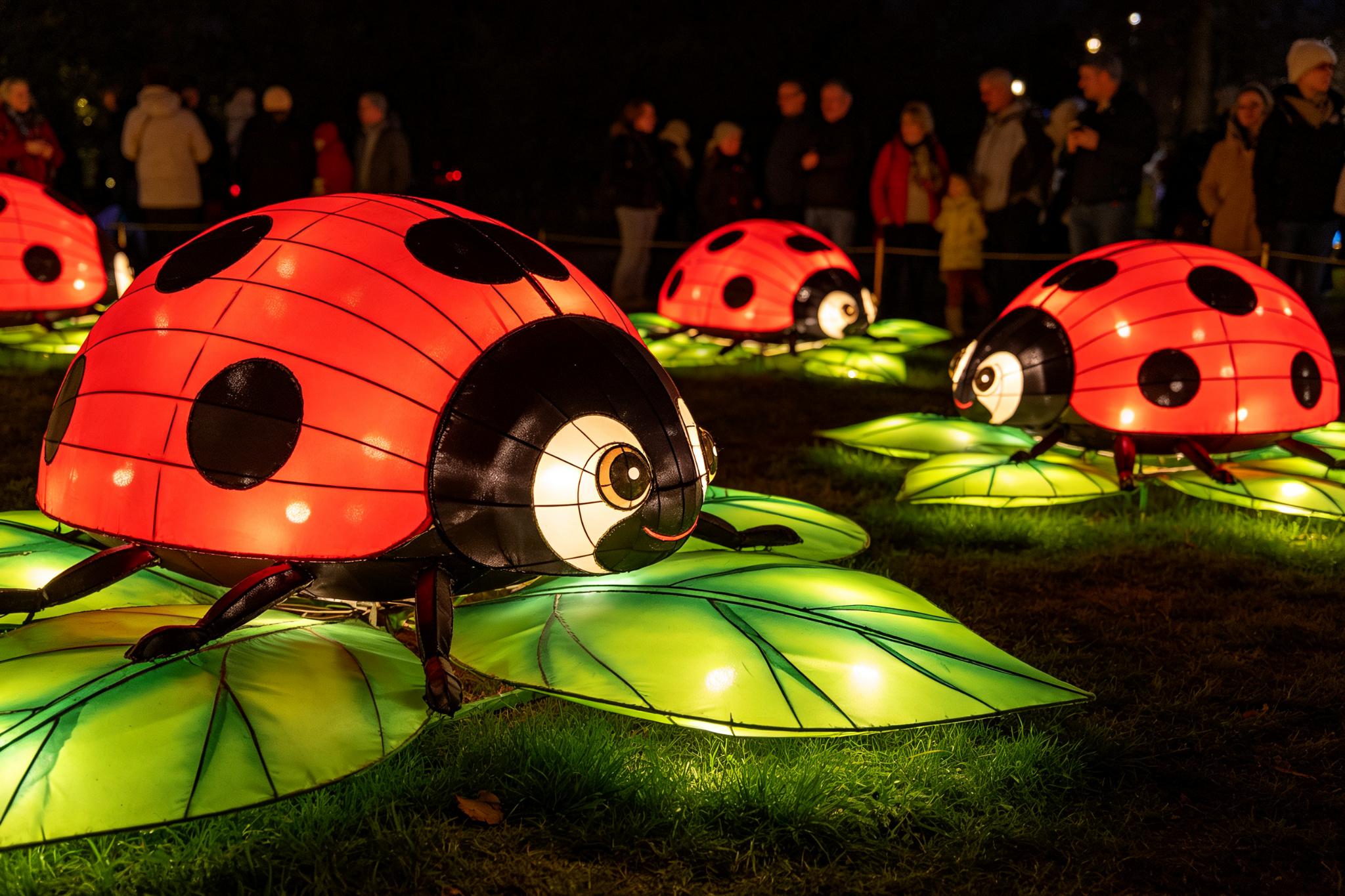 Food and Beverage Strategy for Custom Lantern Festivals