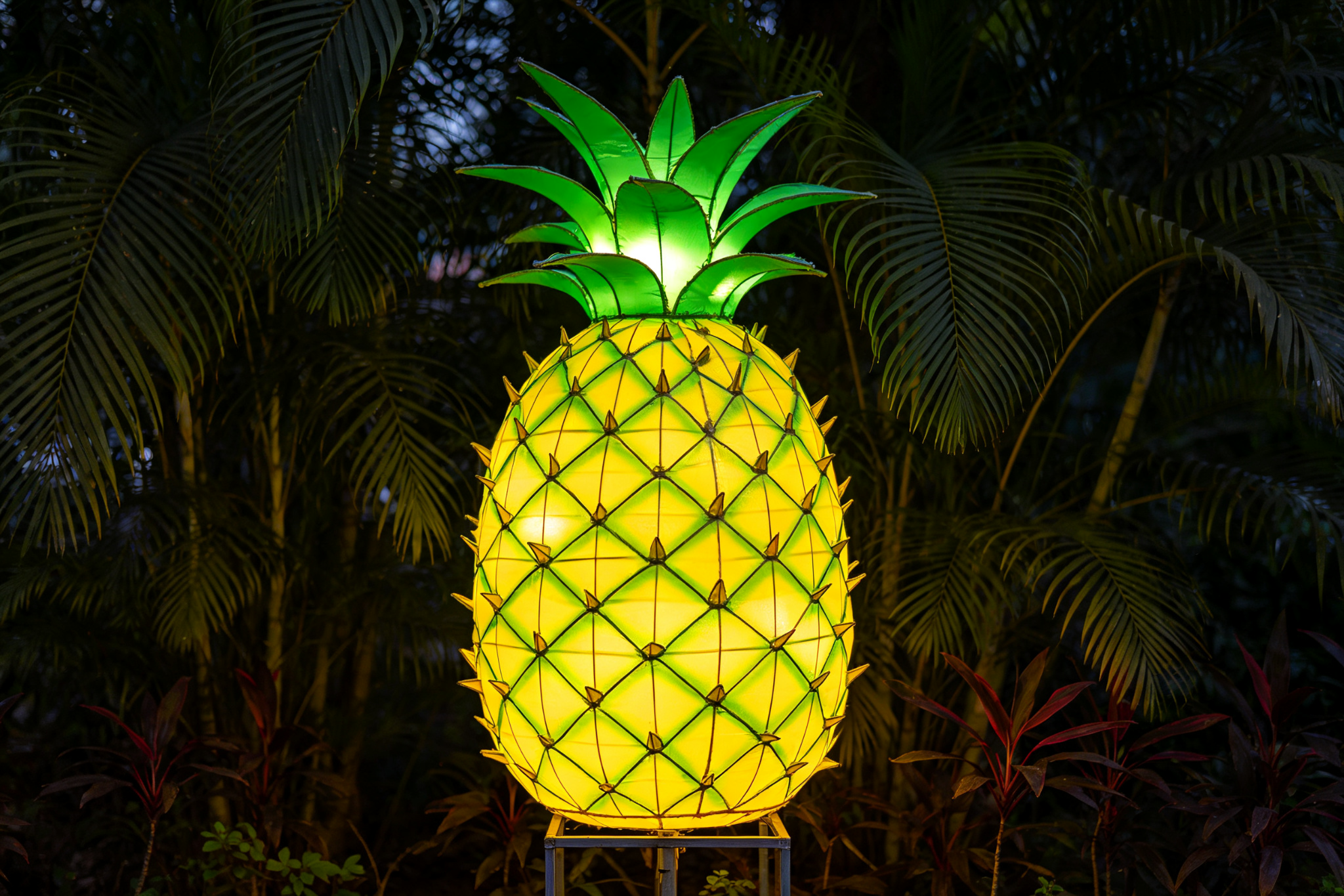 Yellow-green pineapple lantern among tropical plants