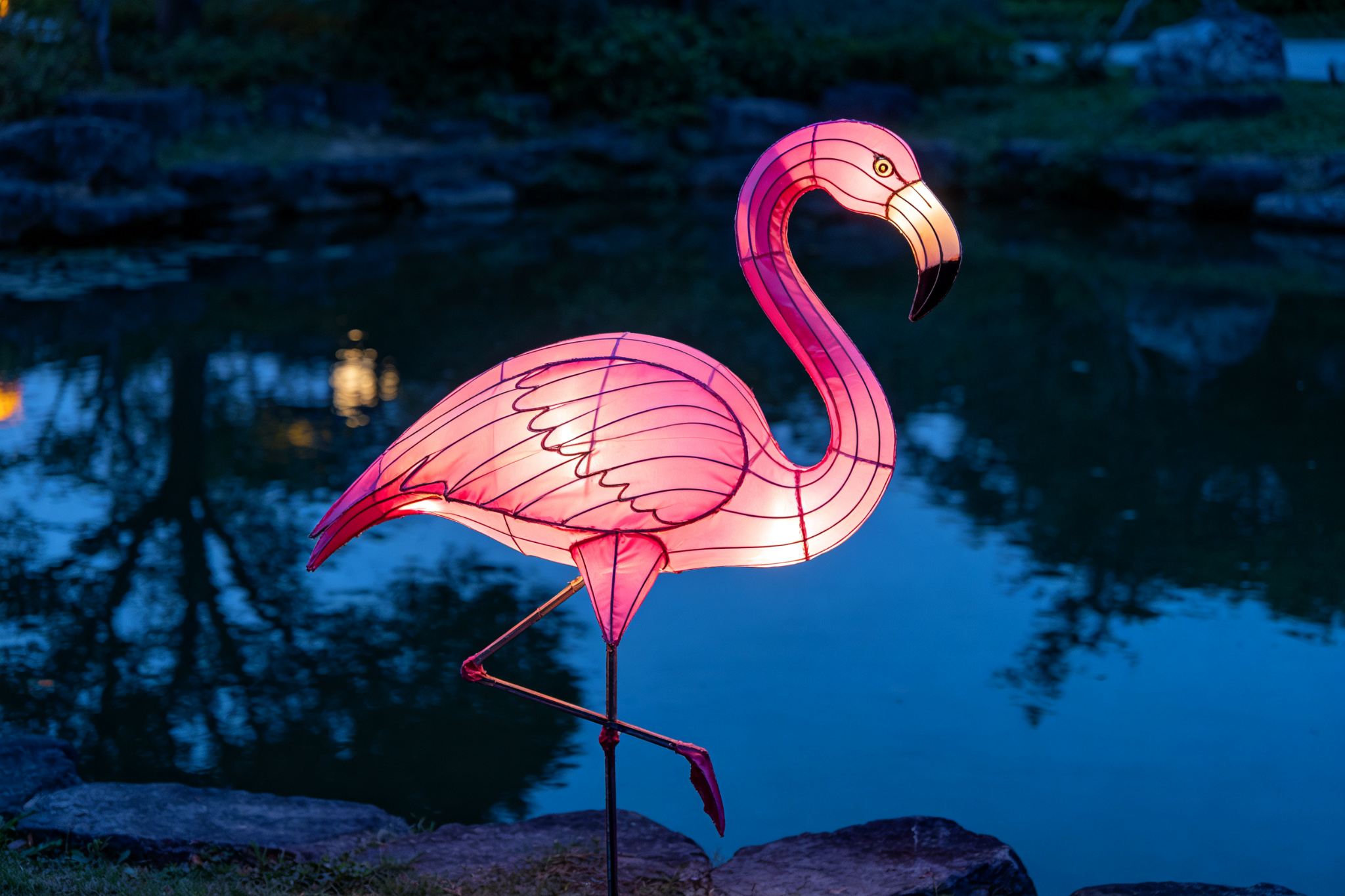 Pink flamingo lantern standing by pond