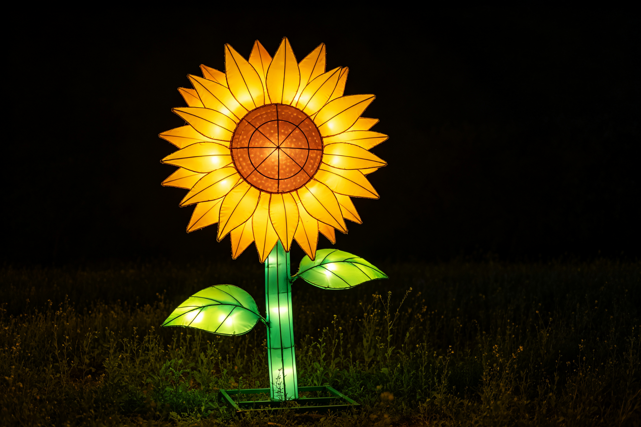 Giant yellow sunflower lantern in field at night
